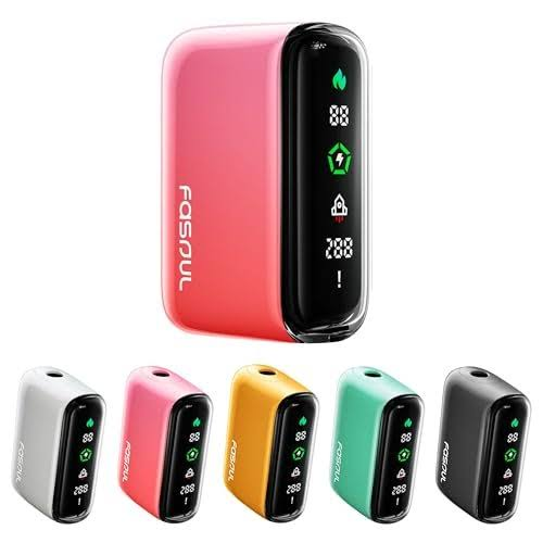Fasoul Q1 Pro 二回機  I